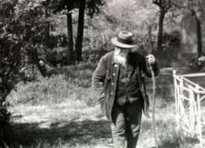 un homme marchant en forêt