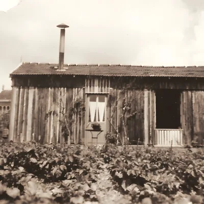 Une petite cabane en bois avec un toit en tuiles, entourée de végétation, dans un paysage ancien.