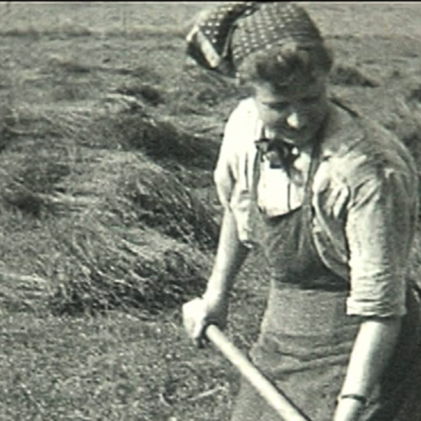 0056FN0001_La Chaussee-du-bois-decu_moisson_femme-1