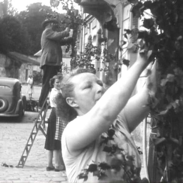 Des femmes récoltent des raisins sur un treillis dans un village, en noir et blanc.