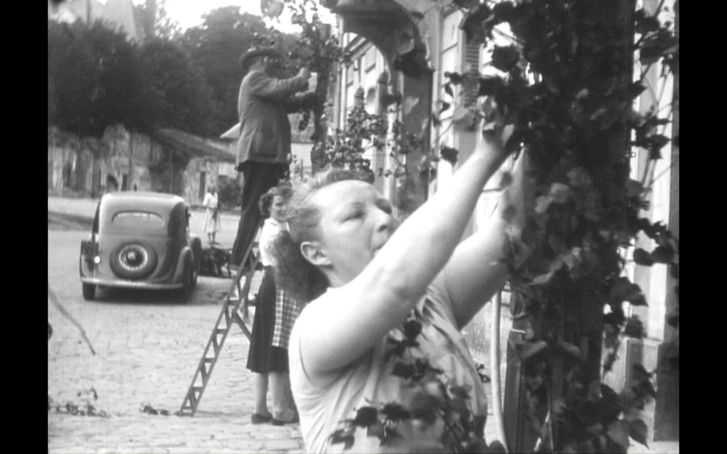 Des femmes récoltent des raisins sur un treillis dans un village, en noir et blanc.
