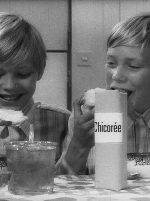 0549FT0026_Chicorée Leroux_Marc et Dominique