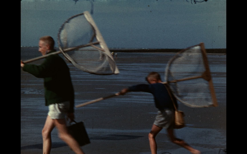 Deux enfants courent sur une plage avec des filets à papillons.