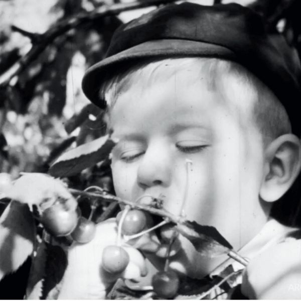 Capture d’écran 2026-03-31 à 12.37.01