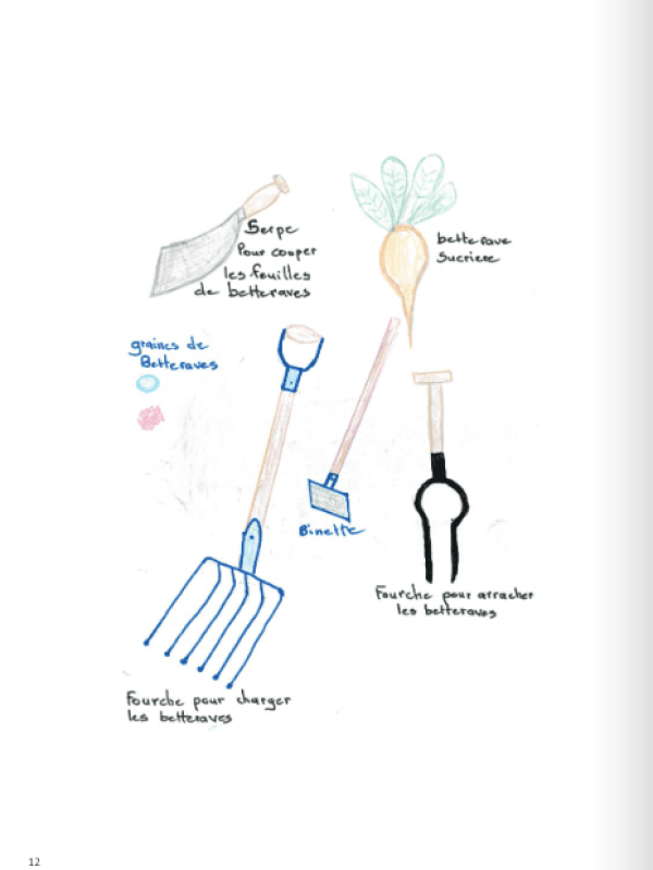 Dessin d'outils de jardinage et d'une betterave sucrière avec des annotations manuscrites en français.