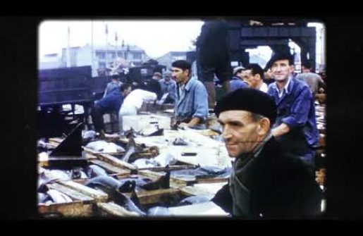Le filmeur de Boulogne