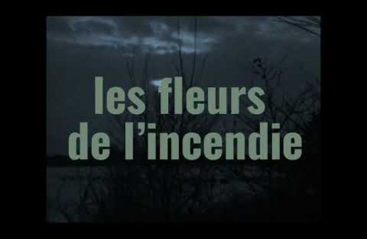 12 FENÊTRES SUR DUNKERQUE – Scène d’hiver